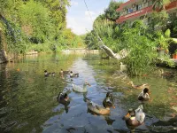 Arikanda Rıver Garden