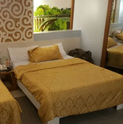 Mt.Fuji Homestay Leoya