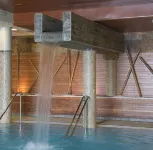 Hotel Hospes Palacio de Arenales & Spa Cáceres - piscina