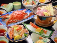 Umezakitei