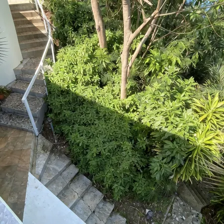 Stunning Estate on almost 2 acres with down island views of St John and the BVI