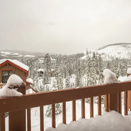 Luxury, END UNIT townhome w/amazing views & privacy. High-end furnishings. Cozy.