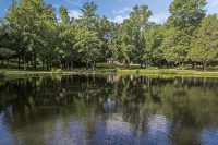 Lakeside, 2-Bedroom Cottage with Fire Pit in Dickson - 3-Star