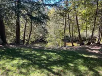 Charming 2-Bedroom Cabin on the River in Beaverton Hotels in Gladwin County