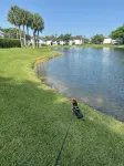 Boater’s Paradise! Beautiful Home on the Water with 2 Boat Lifts & Dockage Space