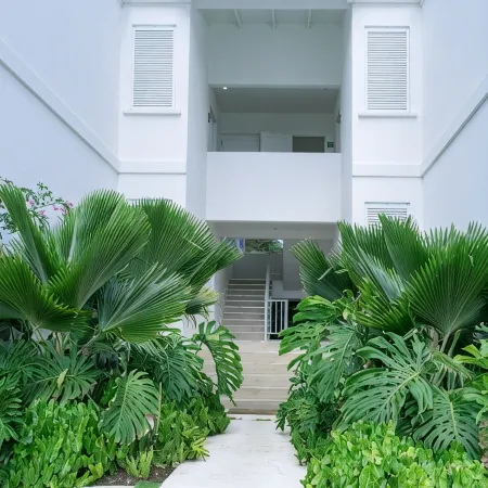 Mullins Grove