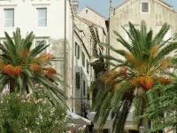 Accommodation Old Town Vitaic فنادق في كوركولا