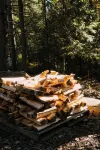 Maine Frame: Cozy Retreat in the Freeport Woods - 4-Star