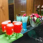 Sudareso <Sadogashima>