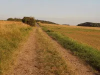 holiday apartment with view of the mountains of the Harz, pets are welcome - homestay
