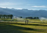 Groovy Country Pad in a Serene Setting - Homestays