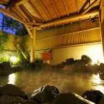 Kuretake - Hot Springs
