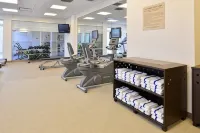 SpringHill Suites Detroit Metro Airport Romulus - Gym