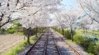 Chuncheon Nami Island 2020 Spa & Pool Villa - プライペートプール