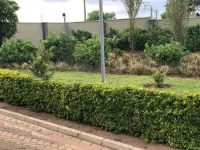 Stoneridge Estate - Apartments