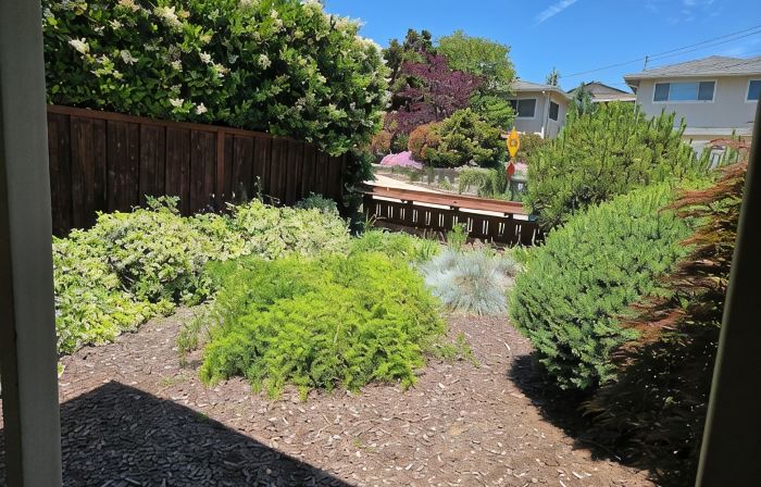 Spacious 3 bedroom house, close to Oakland, San Francisco, & San Jose.