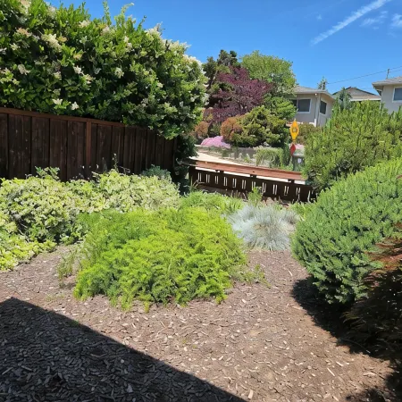 Spacious 3 bedroom house, close to Oakland, San Francisco, & San Jose.