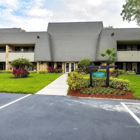 Whispering Pines Owl Retreat - Newly Renovated Large 1Br - Innisbrook Golf View