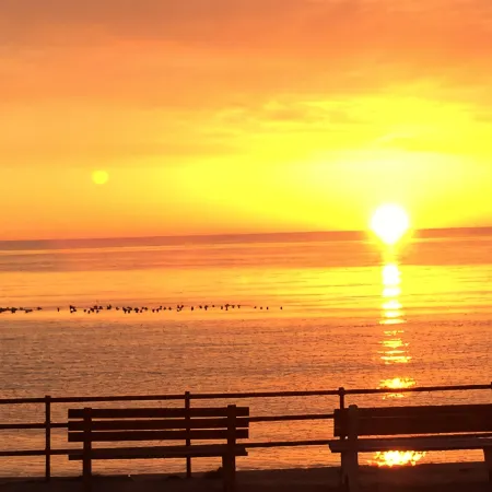 Spacious Waterview Condo - Steps To The Beach, Right Across The Street!