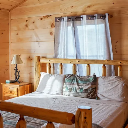 Private Mountain Lodge 5 Masters, Large Cabin Mt. Airy, NC