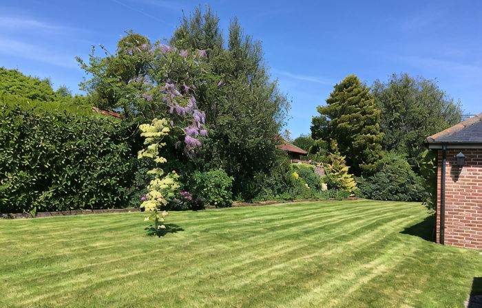 Oak Tree Cottage, Charming & Rural Home, Heart of the New Forest