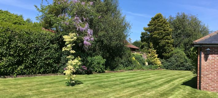 Oak Tree Cottage, Charming & Rural Home, Heart of the New Forest Hotele w: Lymington