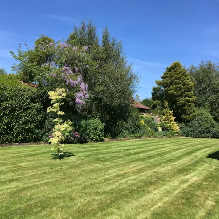 Oak Tree Cottage, Charming & Rural Home, Heart of the New Forest