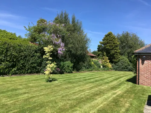 Oak Tree Cottage, Charming & Rural Home, Heart of the New Forest - 4-Star