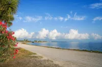 Beautiful Condo in Dunedin. 5 min from the beach! - 3-Star