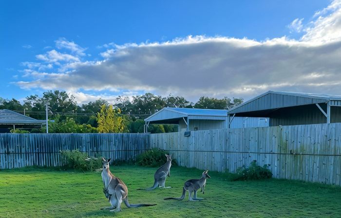 Coastal Queenslander- 2 minute walk to the beach!