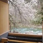 Tokinoyado Sumire - Hot Springs