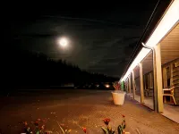 Black Bear Lodge - Pet friendly