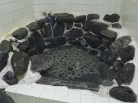 Kadota Ryokan - Suối nước nóng