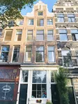 Tulip of Amsterdam