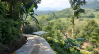 Glamping Kalimarno Wonosalam Hotels in Wonosalam
