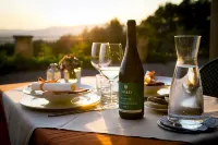 Tenuta il Sassone - Wine & Food - Wi-Fi