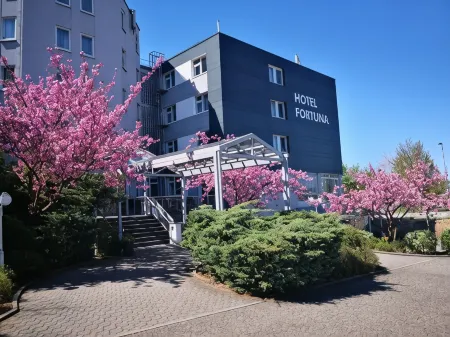 Hotel Fortuna Reutlingen-Tübingen Отели в г. Эшинген