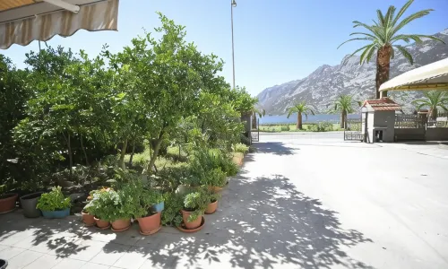 Fashion Beach Apartments