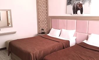 Metinoglu Pansiyon (Chalet Khione) Sarıkamıs
