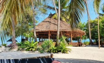 Blue Palm Zanzibar