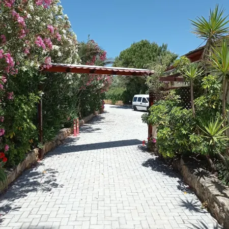 Alexandros Studios