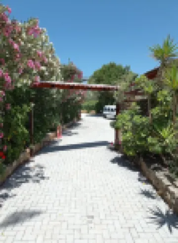 أليكساندروس ستوديوز