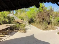 Room in B&B - Mida Creek Eco Camp 1 Hotels near Malindi