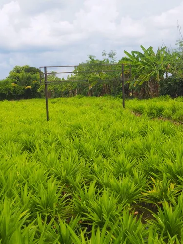 รูปภาพของบ้านสวนถนอมภัทร รีสอร์ท