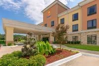 Comfort Suites Hotels in Forrest City