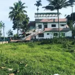 Mulberry Homestay Hotels in Kumily