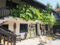 Guest House Sara Latin Hotels in Donji Cerovac