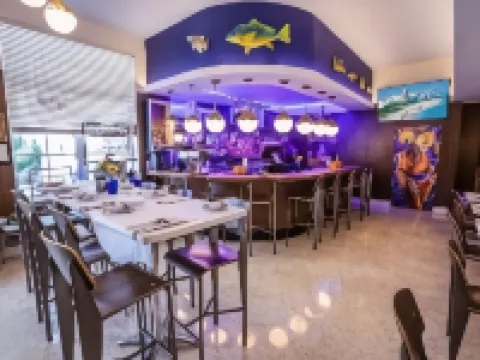 Oceanside Hotel and Suites Hotels in Miami Beach