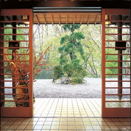 Yatsugawakan