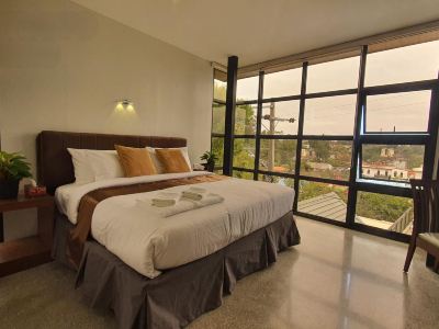 Hotel Mirador